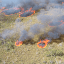 Drone Amplified IGNIS Aerial Ignition Freely Alta - X Package - NW Blue